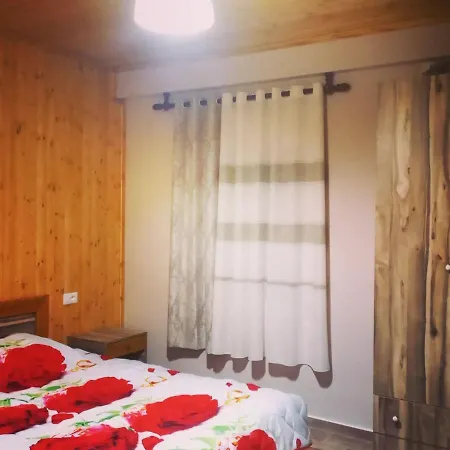 Ferienhaus Bujtina *