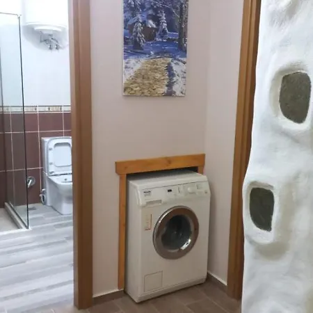 Ferienhaus Bujtina